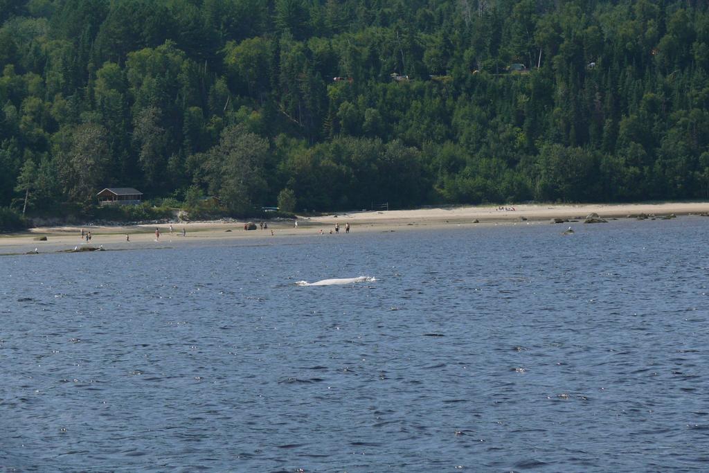 Riviere Petit Saguenay Vila Exterior foto