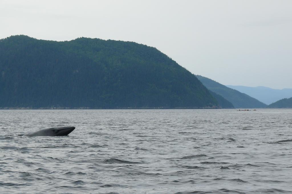 Riviere Petit Saguenay Vila Exterior foto